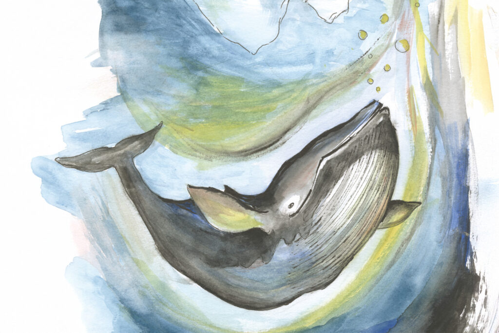 Walfisch schwimmt im blauen Wasser, Aquarell